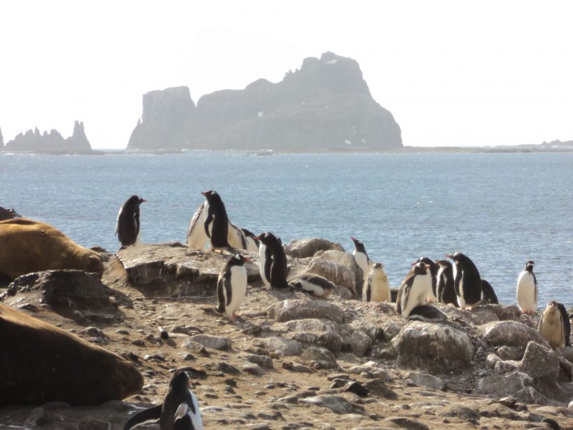 Antartida-7-118-compressor.jpg Antartida-7-118-compressor.jpg