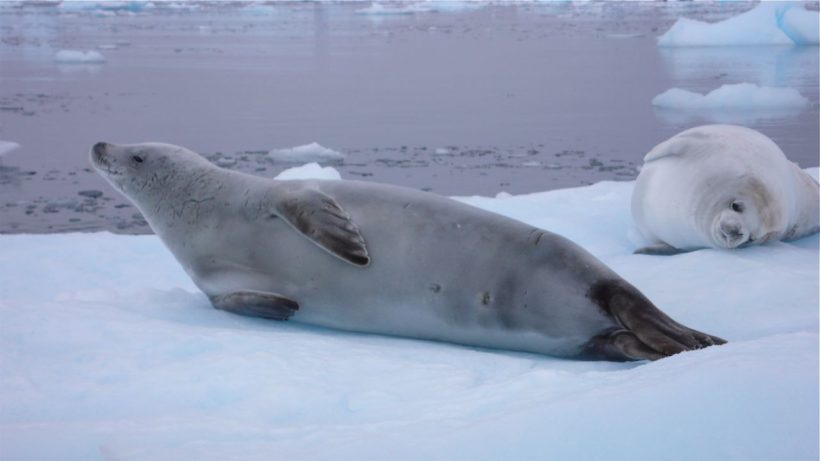 P1110168.jpg P1110168.jpg