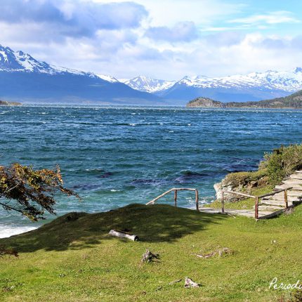 Aerop In Out + Parque + Beagle Lobos