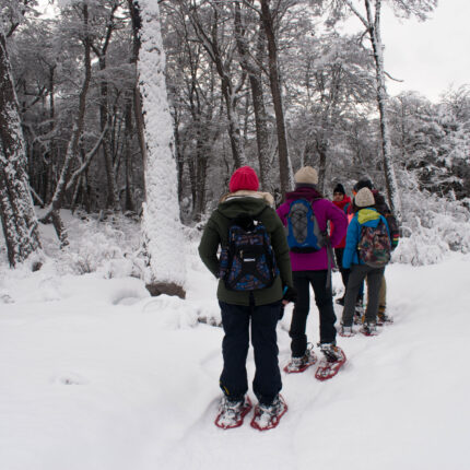 Treking Laguna Esmeralda