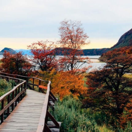 Aerop In Out + Parque Nacional