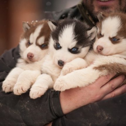 Lago Escondido y centros invernales
